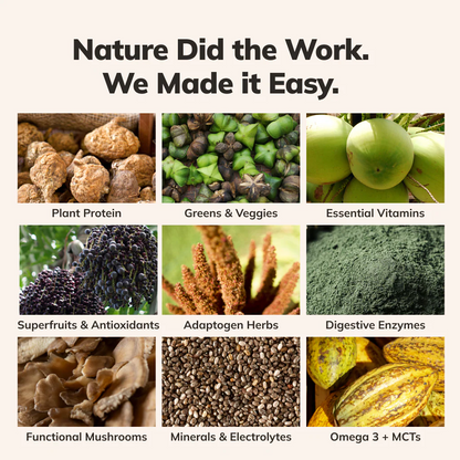 Ka’Chava Whole Body Meal Shake